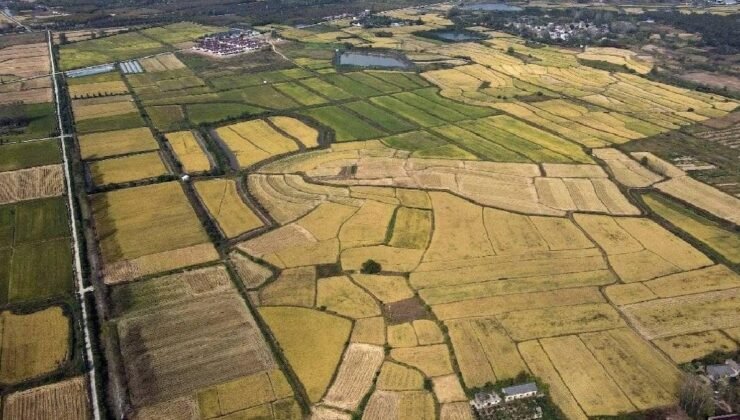 Tasarruf Finansmanı Sözleşmesinde Tüketici Kavramının Yeniden Belirlenmesi: Mahkeme Kararı ve Yargıtay Değerlendirmesi