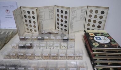 Türkiye’nin Tohum Gen Bankaları: Genetik Zenginliğin Korunması ve Yerel Çeşitlerin Geleceğe Taşınması