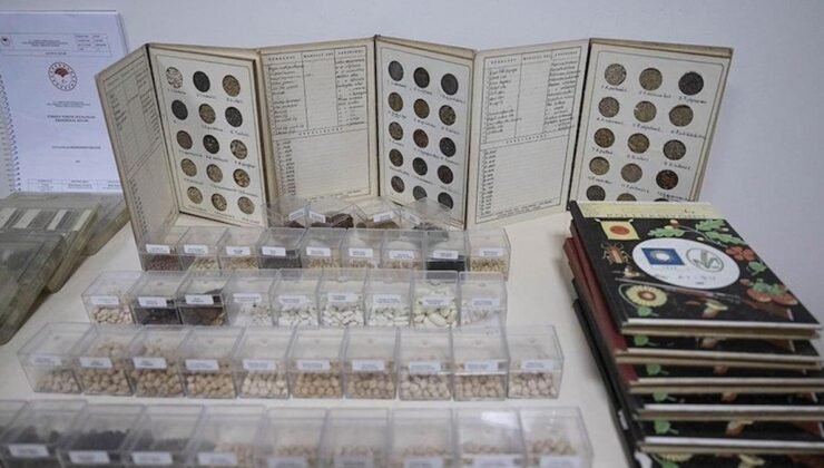 Türkiye’nin Tohum Gen Bankaları: Genetik Zenginliğin Korunması ve Yerel Çeşitlerin Geleceğe Taşınması