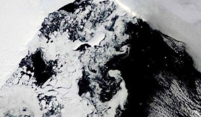 Antarktika’nın Derinliklerinde 15.000 Yıllık Dev Sunger: Yaşamın Sırları ve Jeolojik Sınırlar