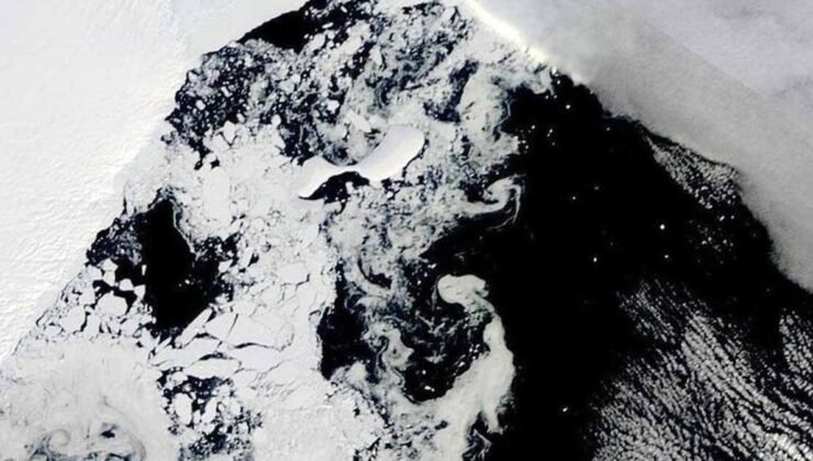 Antarktika’nın Derinliklerinde 15.000 Yıllık Dev Sunger: Yaşamın Sırları ve Jeolojik Sınırlar