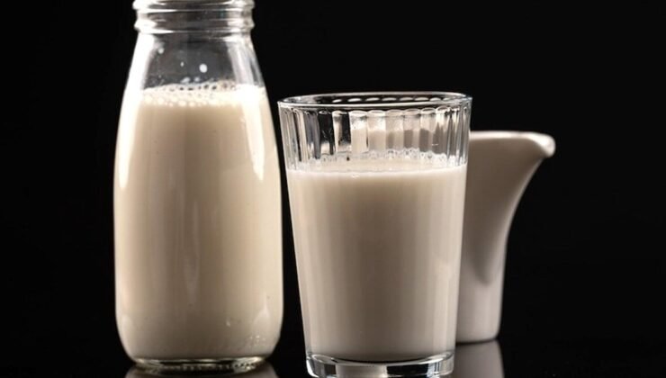 ASÜD Başkanı Çallı: Yeni Nesil Süt Ürünleri ve Sürdürülebilir Dönüşümün Gündemi