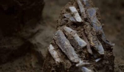 Buzul Çağı Avcısının Gizli Dikişleri: Çekya’dan Taş Aletler ve Ticaret Ağlarının İzleri