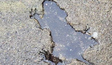 Chicago’nin İz Deyişi: Sincap mı Sıçan mı? Bilimin Açıkladığı İzlerin Hikayesi