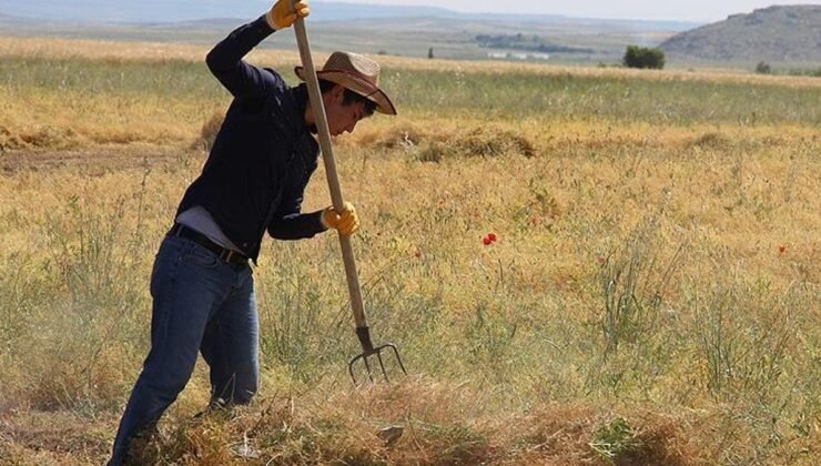 Çiftçi Desteklerinde Yeni Modelin Etkileri ve Bürokrasi Tartışması