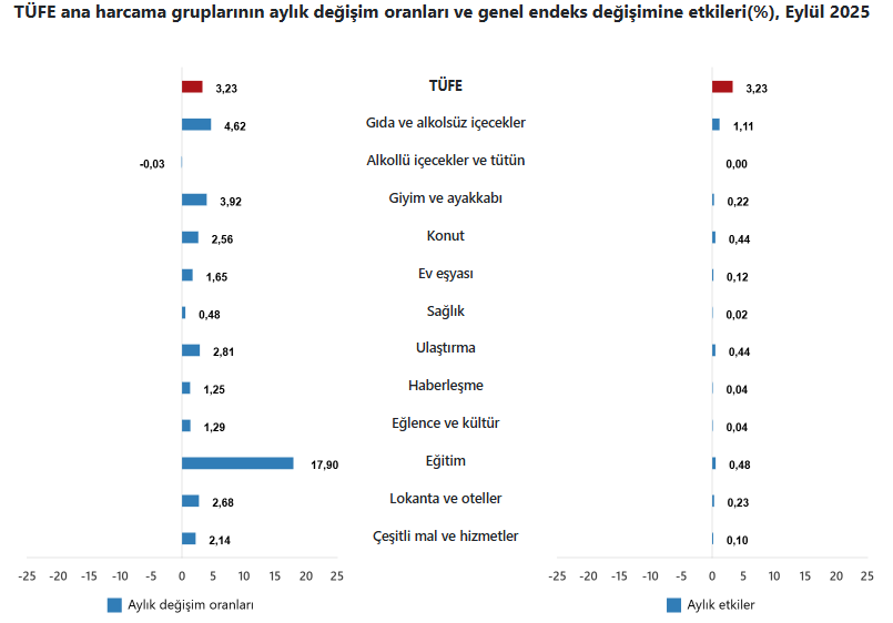 Dezenflasyon Artışlarında Güncel Değerlendirme ve Enflasyonun Yol Haritası