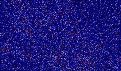 Eski Fısıltıları Yakalamak: 21 Santimetre Sinyalinin Gizemi ve Erken Evrenin Isınması