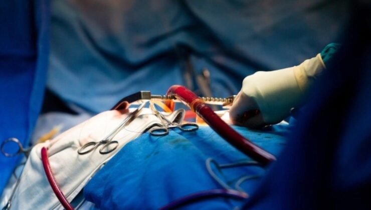 Evrensel Nakil İçin Yeni Bir Yol: ECO Böbrek Deneyi İlk İnsan Nakliyle Sınandı