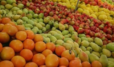 Gürer: TÜİK’in Bitkisel Üretim İkinci Tahmini Geniş Ölçekte Düşüşleri Gösterdi