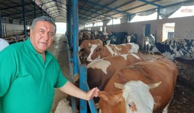 Türkiye’nin Büyükbaş İthalatı ve Et Fiyatlarındaki Artışa Yönelik Politik Eleştiri