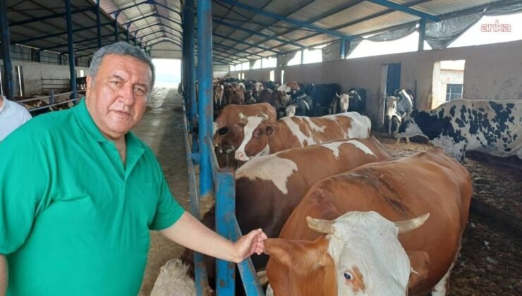 Türkiye’nin Büyükbaş İthalatı ve Et Fiyatlarındaki Artışa Yönelik Politik Eleştiri