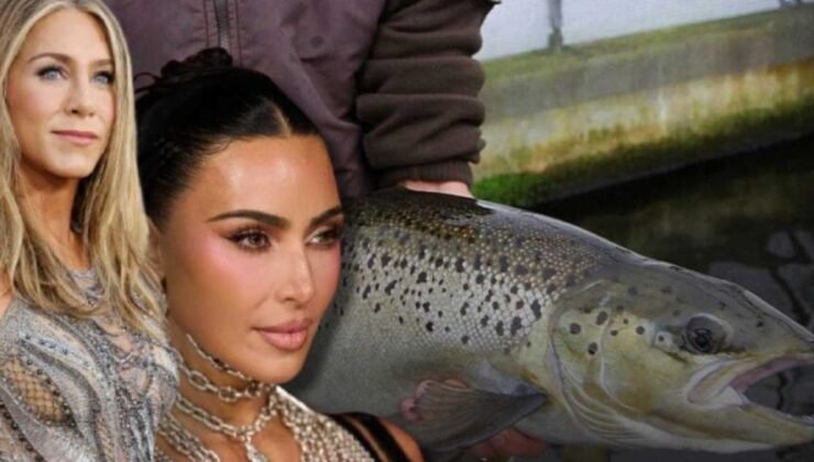 Balık Spermiyle Cilt Yenileme: Yeni Bir Güzellik Modası ve Etkileri