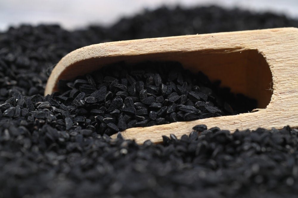 Çörek Otu ile Kalp Sağlığına Yeni Umut: Günde Bir Kaşıkla LDL Düşüşü ve HDL Artışı