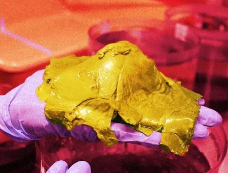 Derin Deniz Gizemi: Altın Küre ve Etli Cümlelerin Ardındaki Sır