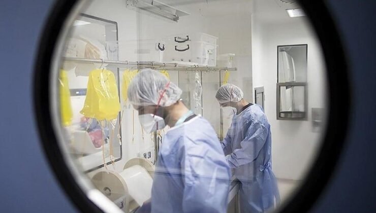 Etiyopya’da Marburg Salgını: DSÖ Hızlı ve Şeffaf Müdahale Çağrısı