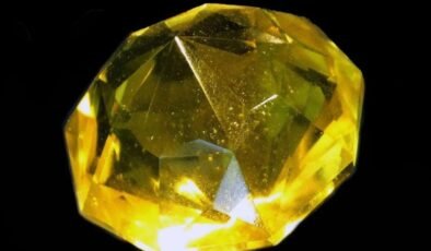 Floransa Elması Yeniden Sahneye Çıkıyor: Ailenin Yüzyıllık Sırrı ve Kanada’daki Güvence