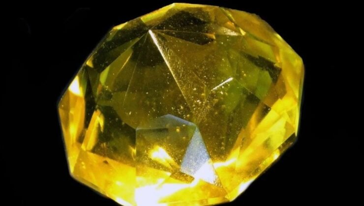 Floransa Elması Yeniden Sahneye Çıkıyor: Ailenin Yüzyıllık Sırrı ve Kanada’daki Güvence