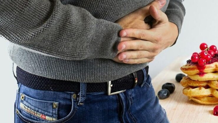 Gıda Güvenliğinde Kayıt Dışı Tehlikeler ve Toplu Tüketimde Risk Yönetimi