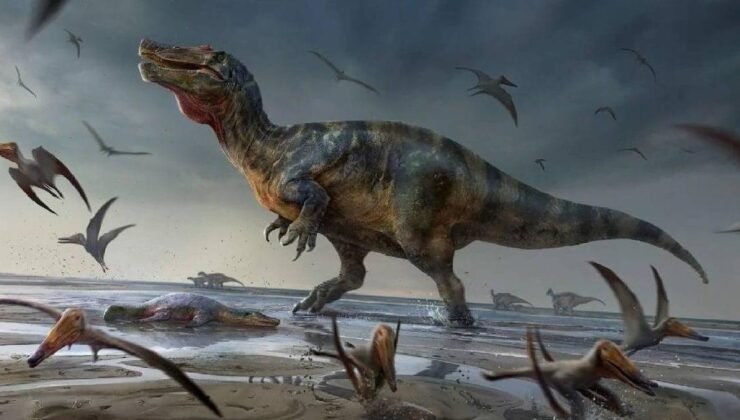 Hydrosaurus: Endonezya ve Filipinler’in Yelkenli Kertenkele Öyküsü