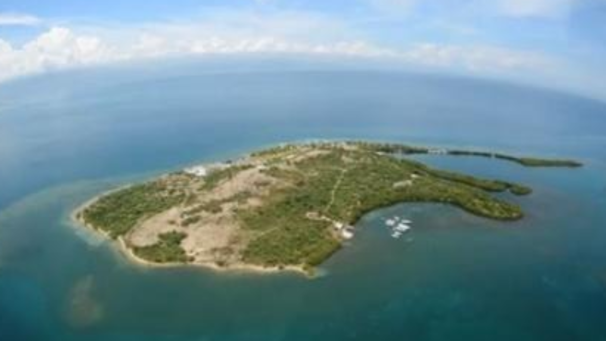 Karayipler'deki Gonave Adası için Darbe Planı ve Sivil Kışkırtma Girişimleri