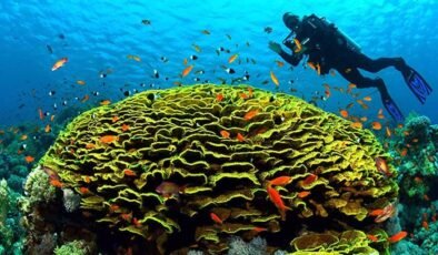 Kızıldeniz’in Büyük Dönüşümü: 6.2 Milyon Yıllık Kuraklık ve Şiddetli Deniz İstilası