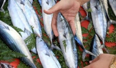 Polinükleotid Enjeksiyonu: Ünlülerle Popülerleşen Yeni Cilt Bakım Trendinin Işıltılı Gerçekleri