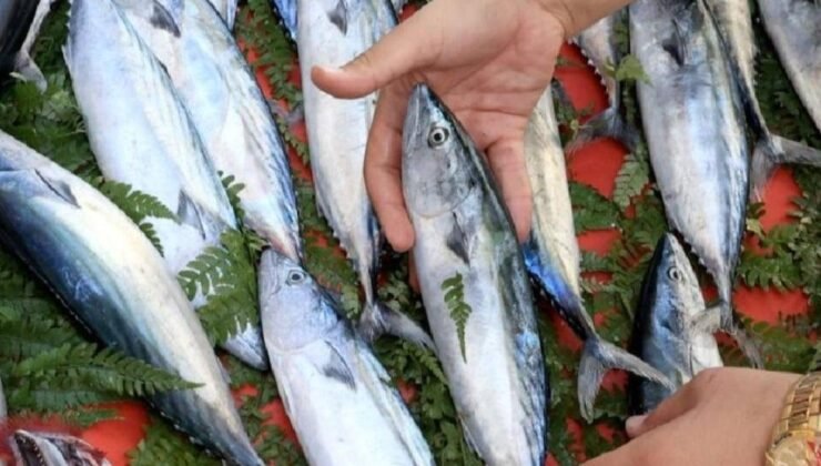 Polinükleotid Enjeksiyonu: Ünlülerle Popülerleşen Yeni Cilt Bakım Trendinin Işıltılı Gerçekleri