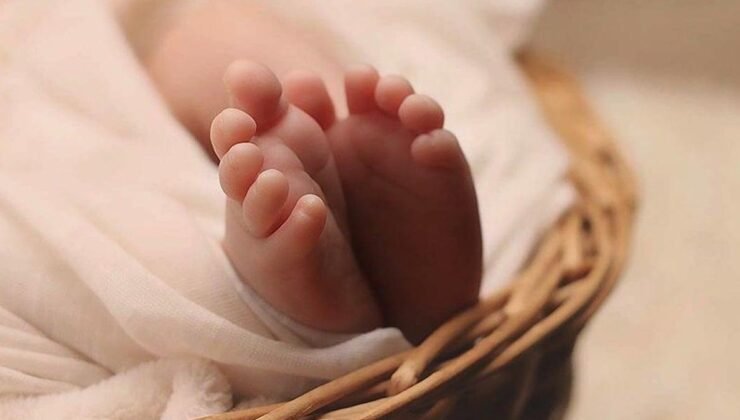 Türkiye’de IVF Yatırımı ve Doğurganlık Politikalarının Ekonomik Yansımaları: Antalya Kongresi Özetleri