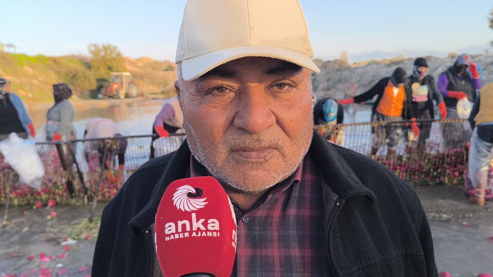 Turp Üreticilerinin Ağırlığı: Maliyetler Artarken Fiyat Düşüşü ve Zararlara Karşı Ses