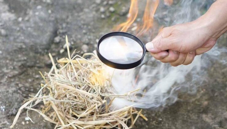 Barnham Arkeolojik Buluşu: Ateşin Kontrolünü 400 Bin Yıla Taşıyan Neandertaller