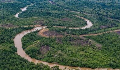 Darién Koridoru: Pan-Amerikan Karayolu İçin Zorlu Fiilen Kopuk Köprü