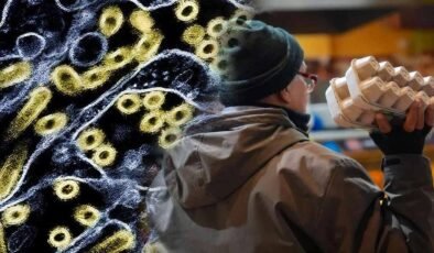 Küresel SARS-CoV-2 Benzeri H5N1 Salgınlarının Evrimi ve Güncel Riskler