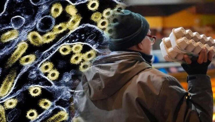 Küresel SARS-CoV-2 Benzeri H5N1 Salgınlarının Evrimi ve Güncel Riskler