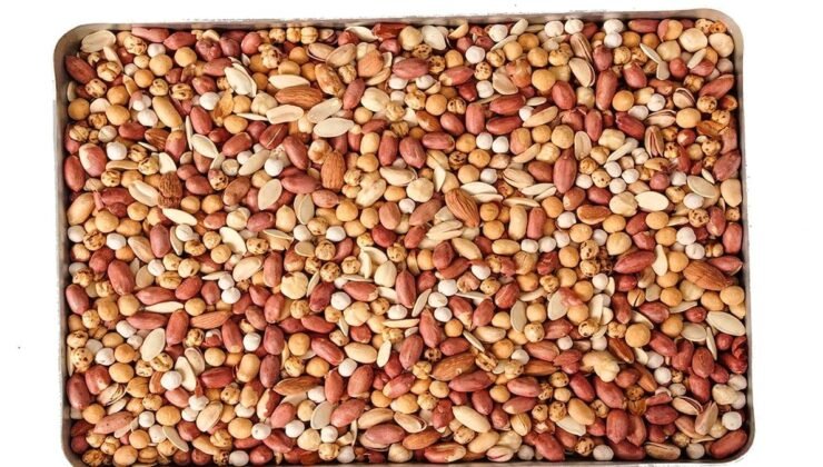 Kuruyemişlerle Beyin Sağlığı: Hafıza ve Konsantrasyonu Destekleyen En Etkili Seçenekler