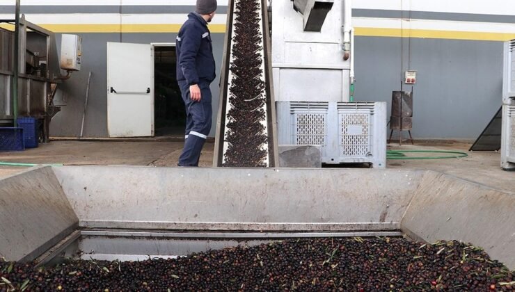 OlivetoLive: Zeytin ve Zeytinyağı Küçük ve Orta Ölçekli Firmalar için Uluslararası Pazarlara Açılım Destek Programı