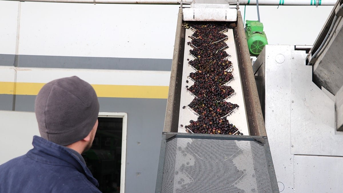 OlivetoLive: Zeytin ve Zeytinyağı Küçük ve Orta Ölçekli Firmalar için Uluslararası Pazarlara Açılım Destek Programı