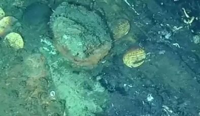 San Jose’nin Kayıp Hazinesi: 17 Milyar Dolar Değerindeki Sular Altında Yükselen Gerçekler