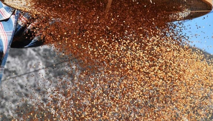 Susam: Faydaları Kısıtlamalarla Dengelenen Sağlıklı Bir Gıda mı?