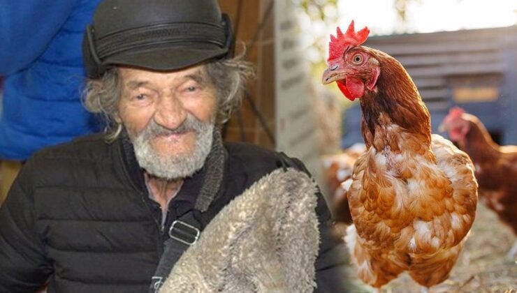 Tavuk Sevgisiyle Yollarda: 89 Yaşındaki Konstantin ve Tavuk Arkadaşlığı