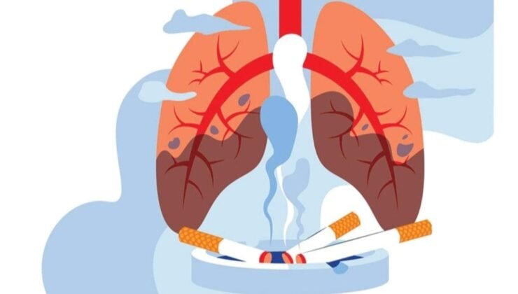 Üçüncü El Duman Maruziyeti: Ortamdan Bütünleşen Zararlı Kalıntılar ve Sağlık Riskleri