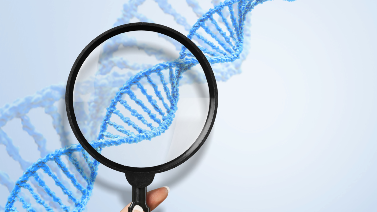 Y Kromozomunun Yok Oluşu: İnsanlık İçin Bir Senaryo mu, Bilimsel Bir İddia mı?