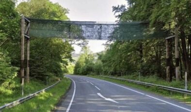 Yarasalar İçin Tasarlanan Yolun Sırları: A470 Köprüsünün Gerçek Hikayesi