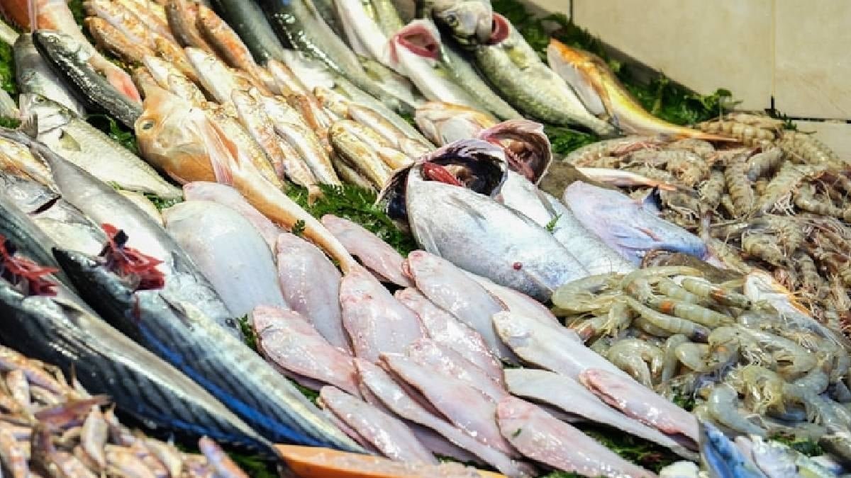 Yaşam Süresini Uzatmaya Yönelik Beslenme: Balık Tüketimi, Omega-3 ve Günlük Ritm