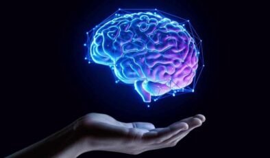 Yaşamsal Zamanlarda Beynin Yeniden Yapılandırılması: İçgörülerin Kapsamlı Haritası