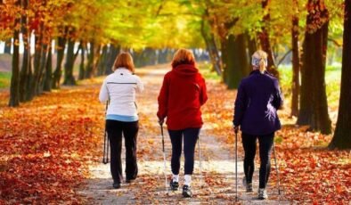 2025 Adım Raporu: Dünya Nüfusu Kaç Adım Attı ve Türkiye Nerede