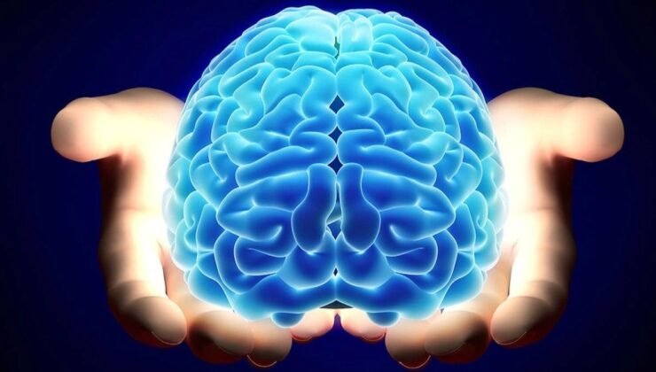 40’lı Yaşlarda Beyin Sağlığına Yatırım: Erken Tanı ve Kognitif Check-Up