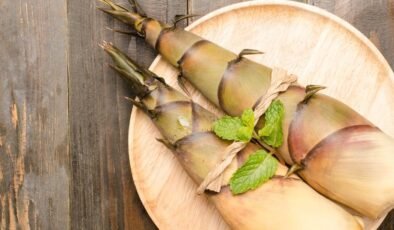 Bambu Filizleri: Besin Değeri ve Sağlık Üzerindeki Etkileri Üzerine Güncel Bulgular