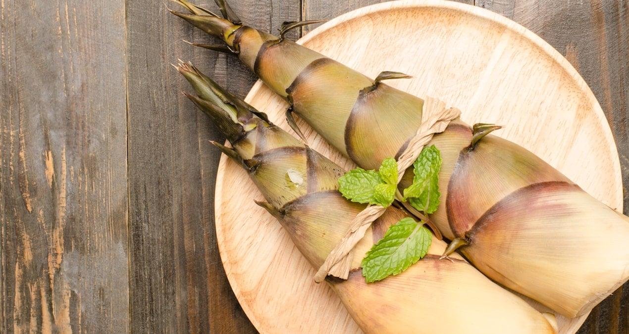 Bambu Filizleri: Besin Değeri ve Sağlık Üzerindeki Etkileri Üzerine Güncel Bulgular