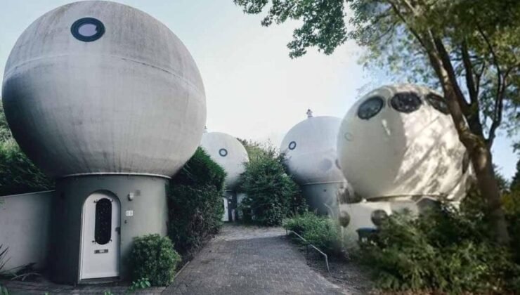 Bolwoningen: Den Bosch’ta Kare Olmayan Evlerin Küresel Masalı