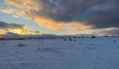 Çimsa, Beyaz Kalker Sahası İçin Ruhsat İptali ve Rehabilitasyon Taahhüdü: Umut Zenar’dan Açıklamalar